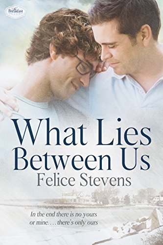 What Lies Between Us book cover