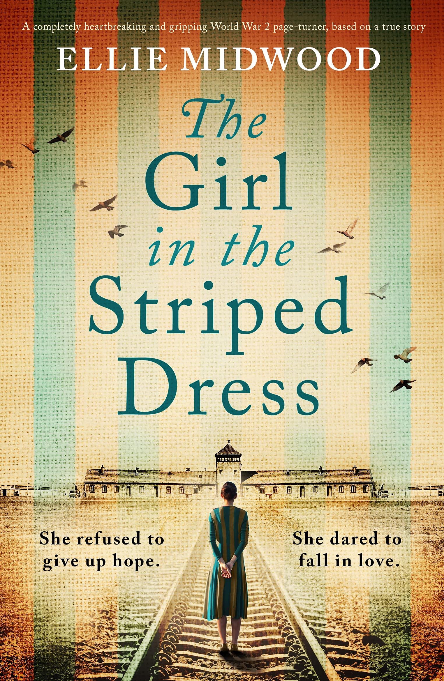The Girl in the Striped Dress book cover