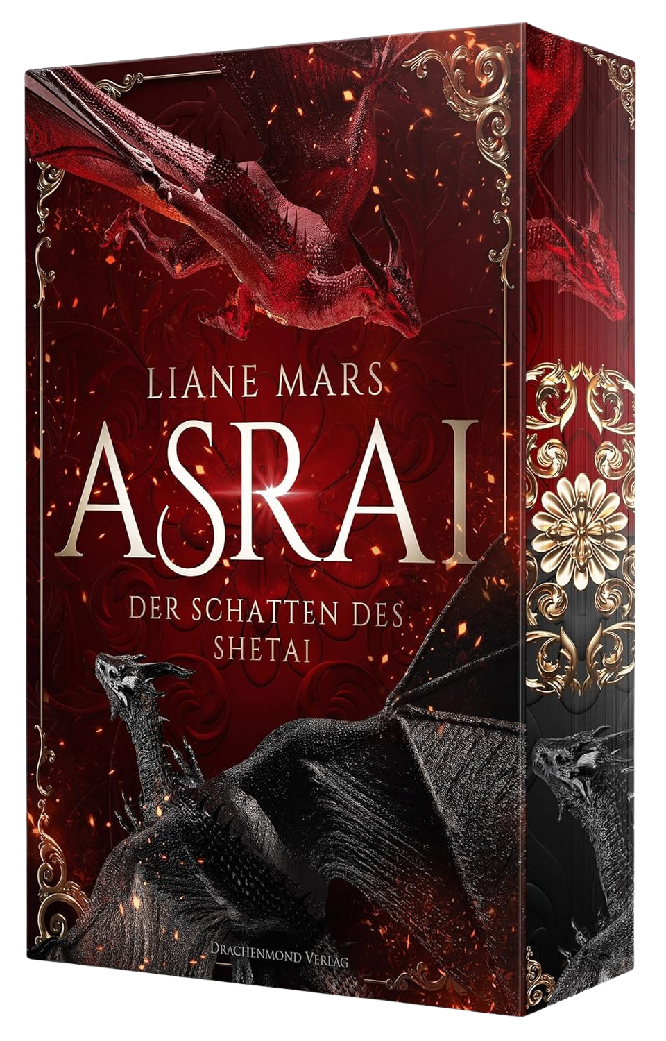 Der Schatten des Shetai book cover