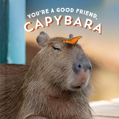 You're a Good Friend, Capybara book cover