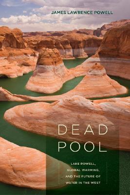 Dead Pool book cover
