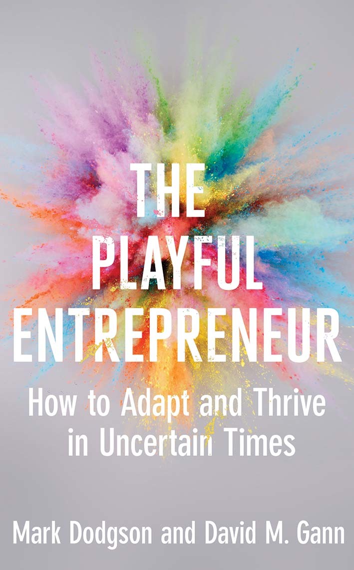The Playful Entrepreneur book cover