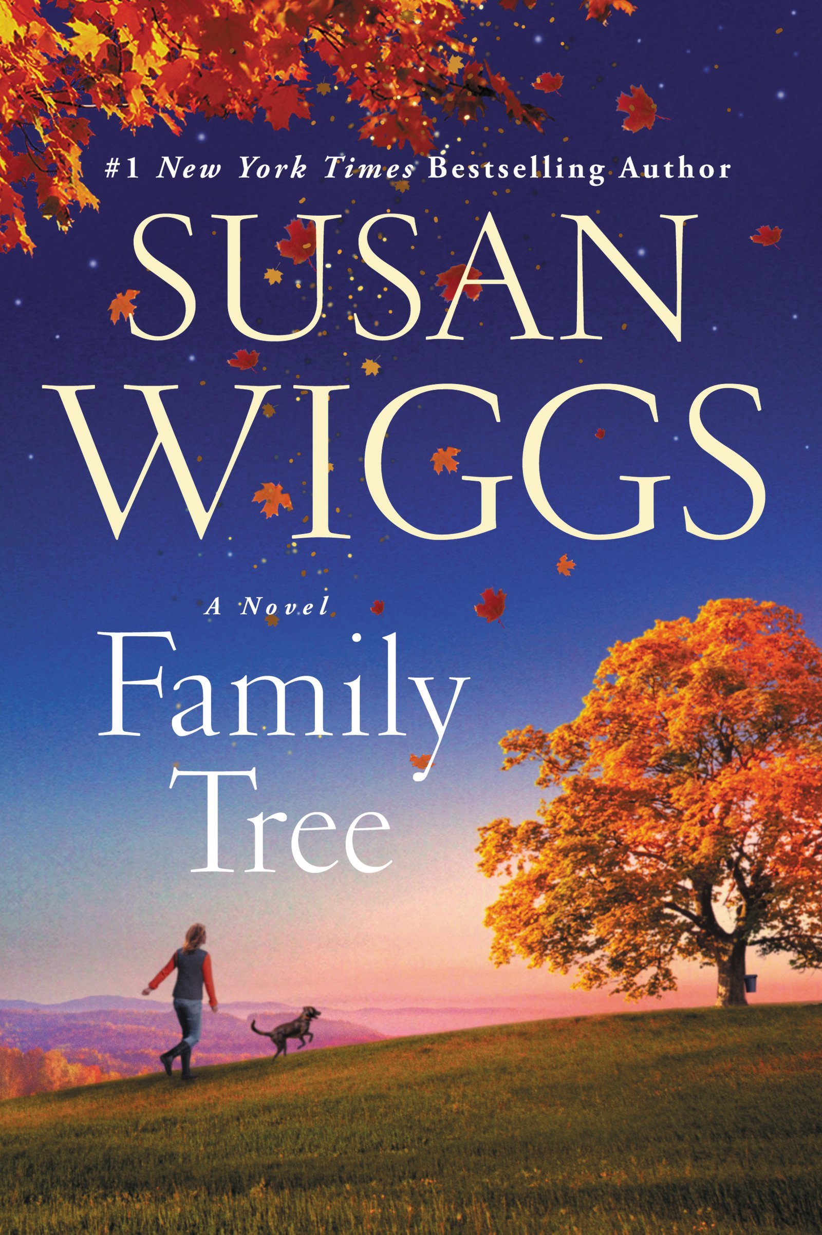 Switchback, Vermont book cover 1