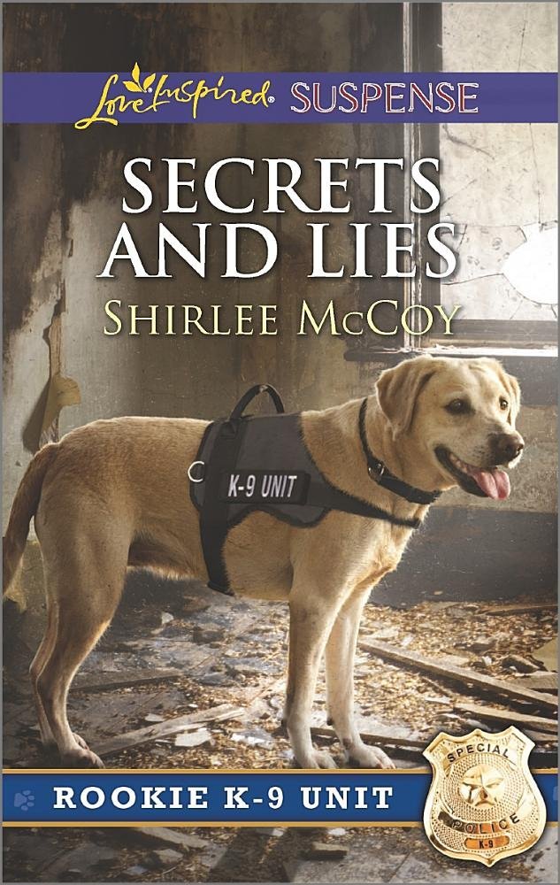 Secrets and Lies book cover