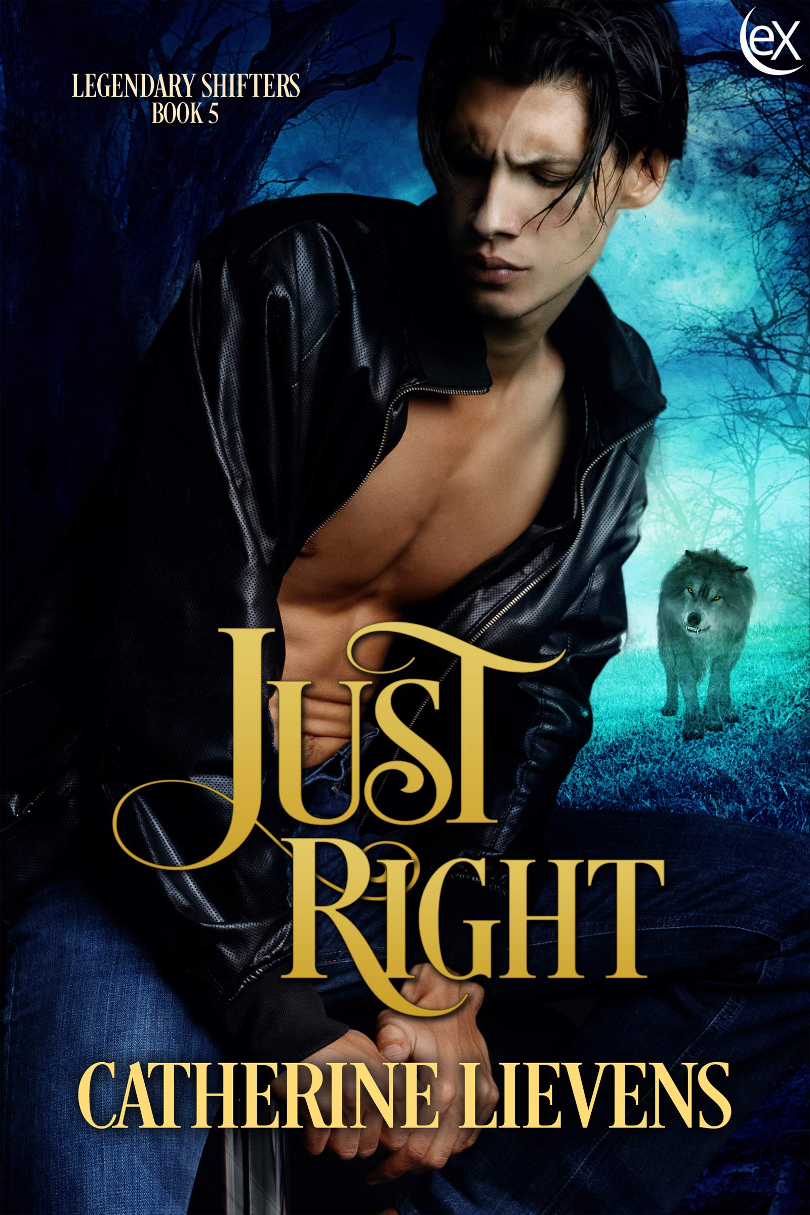 Just Right book cover