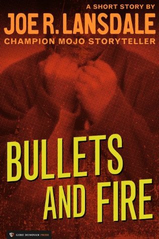 Bullets and Fire book cover
