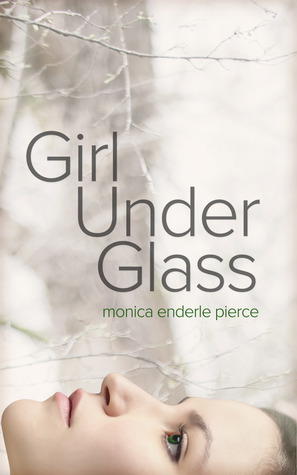 Glass and Iron book cover 1