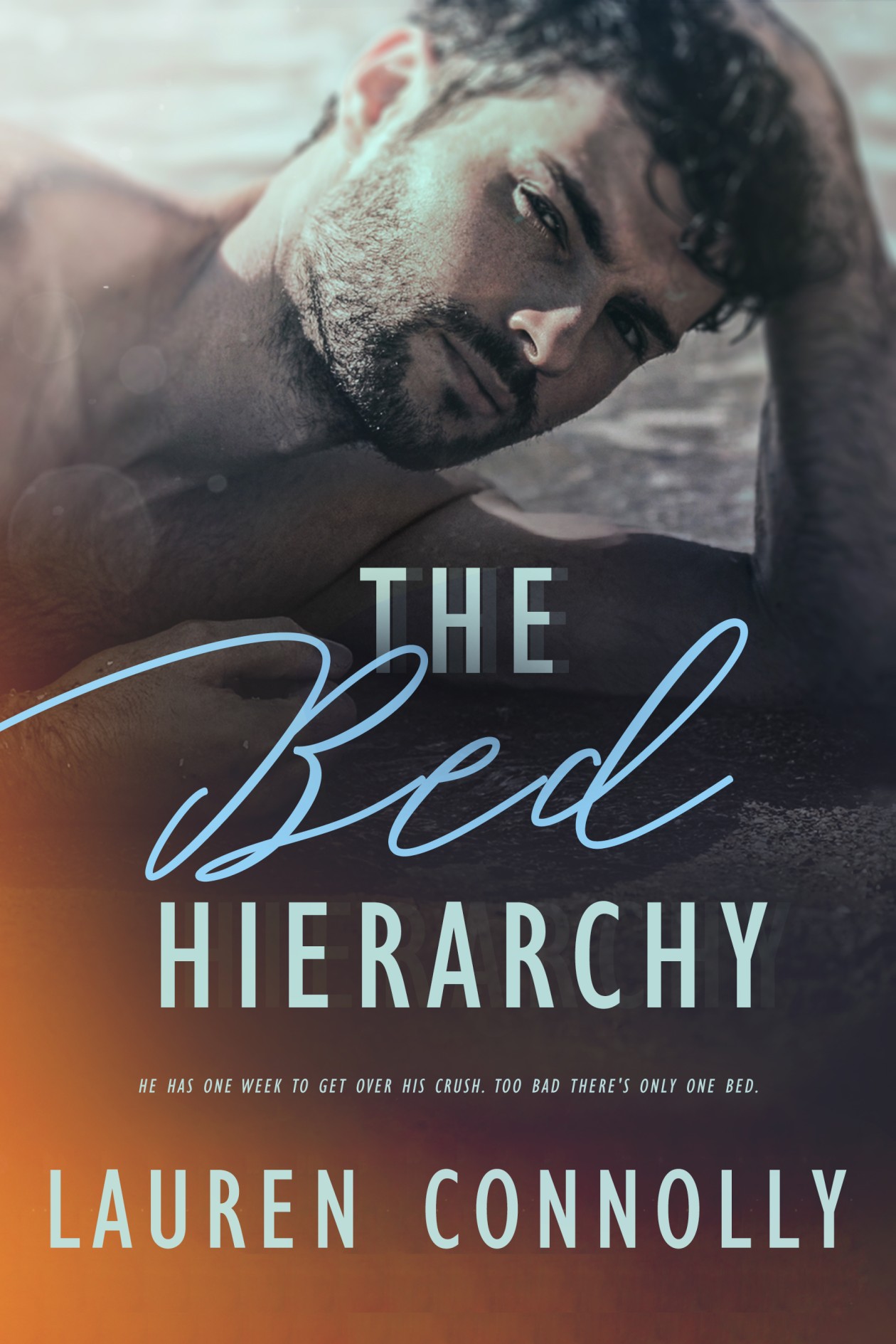 The Bed Hierarchy book cover