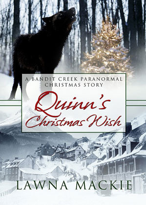 A Christmas Gift book cover