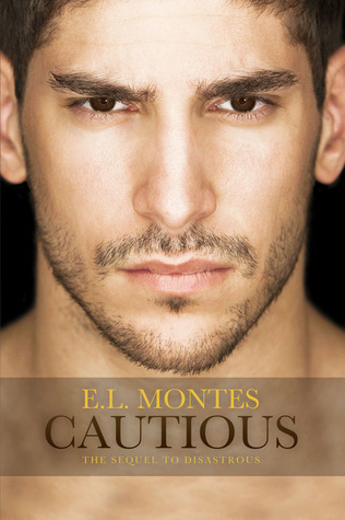 Disastrous book cover 2