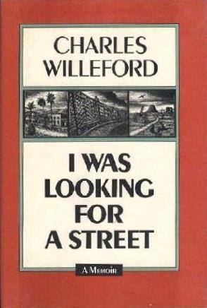 I WAS LOOKING FOR A STREET book cover
