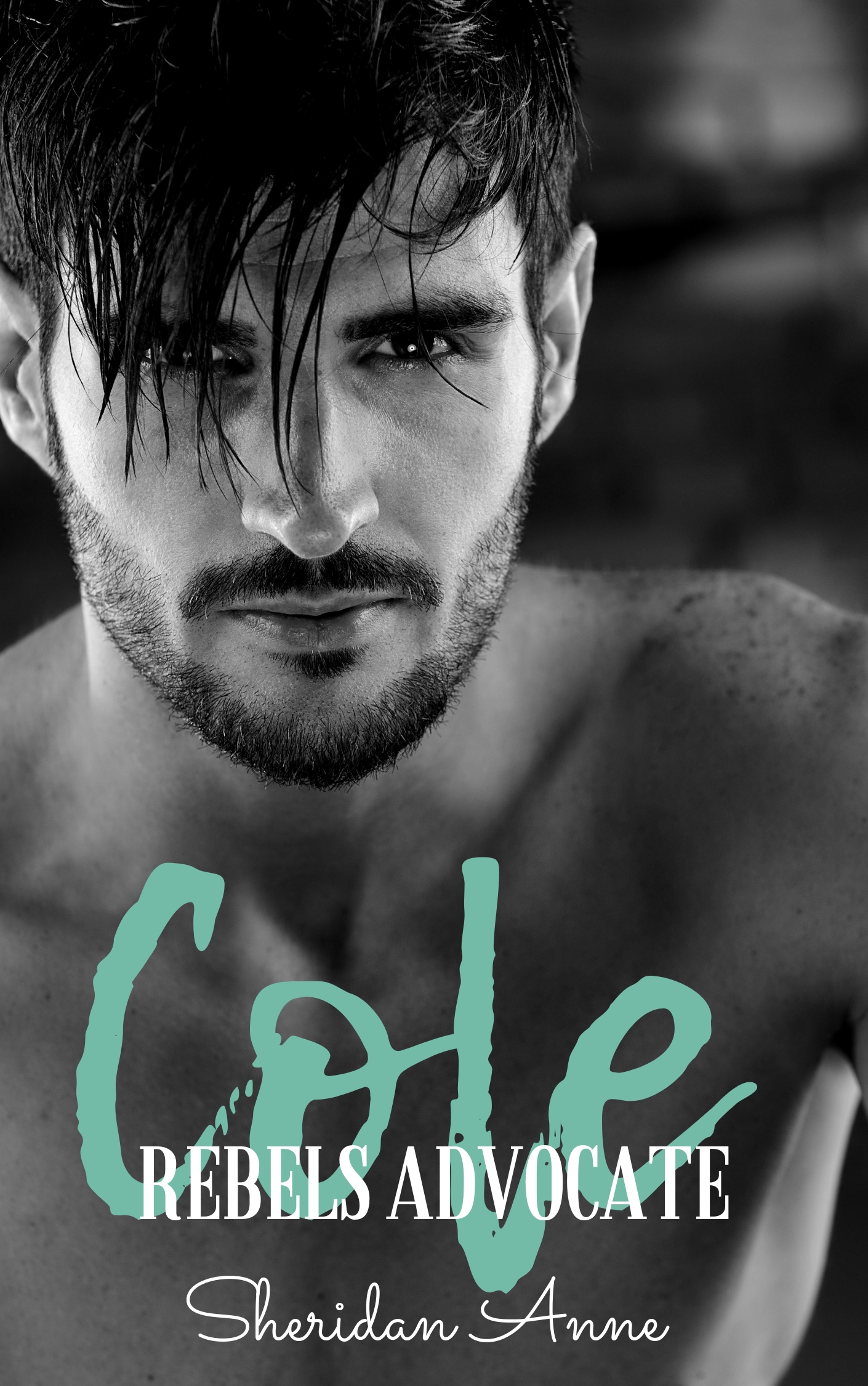 Rebels Advocate book cover 1