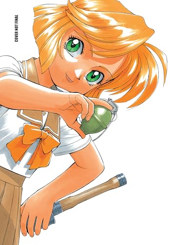 Gunsmith Cats Omnibus Volume 2 book cover