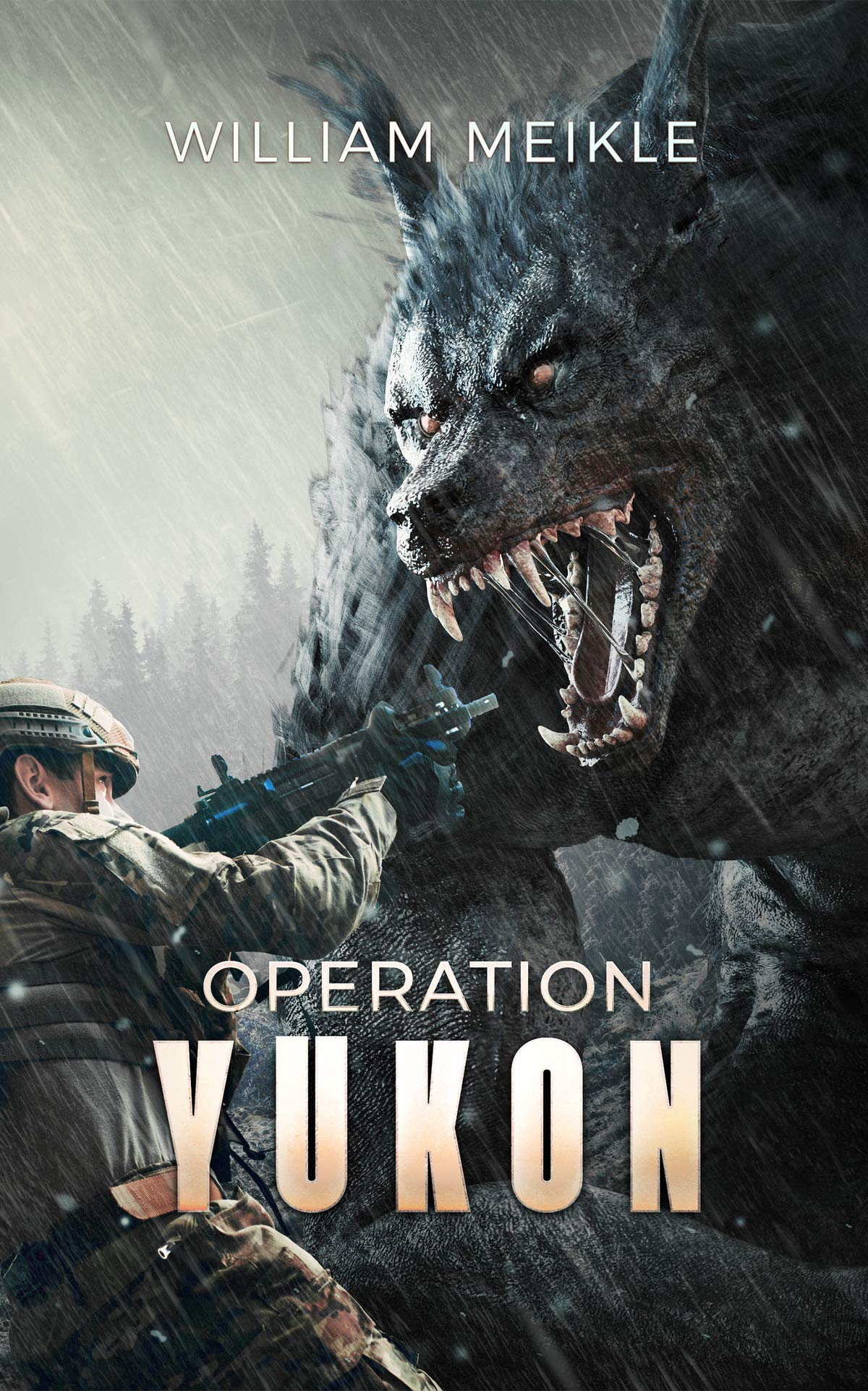 Operation book cover