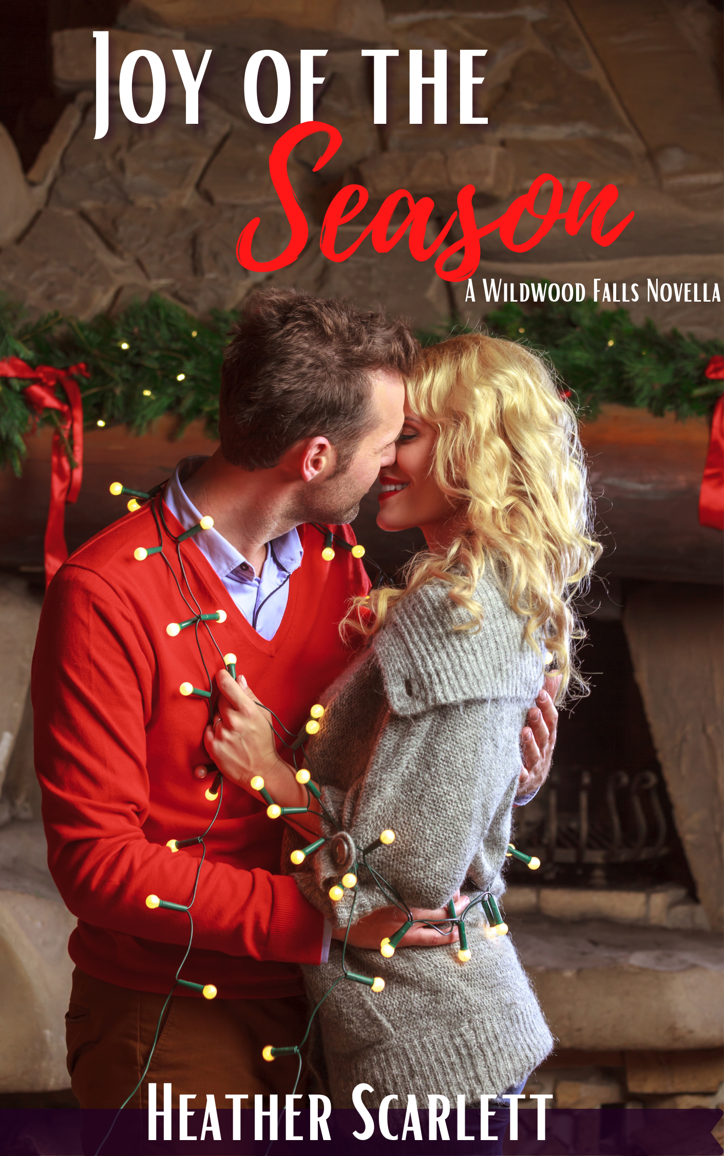 Joy of the Season book cover