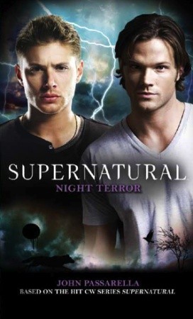 Night Terror book cover