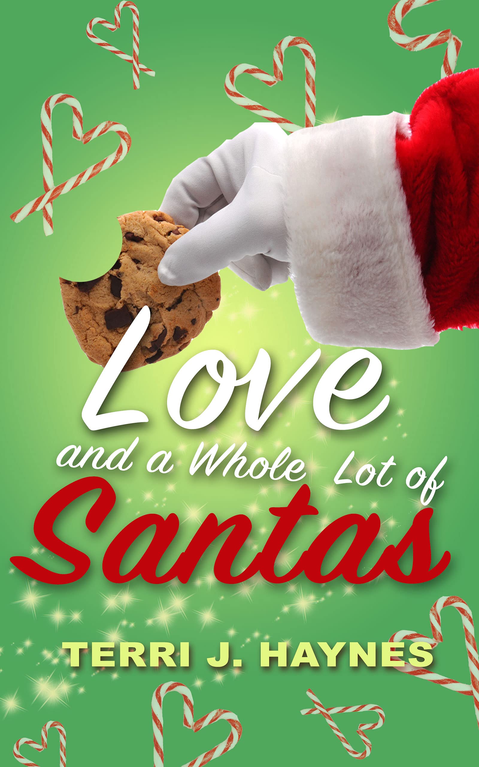 Love and a Whole Lot of Santas book cover