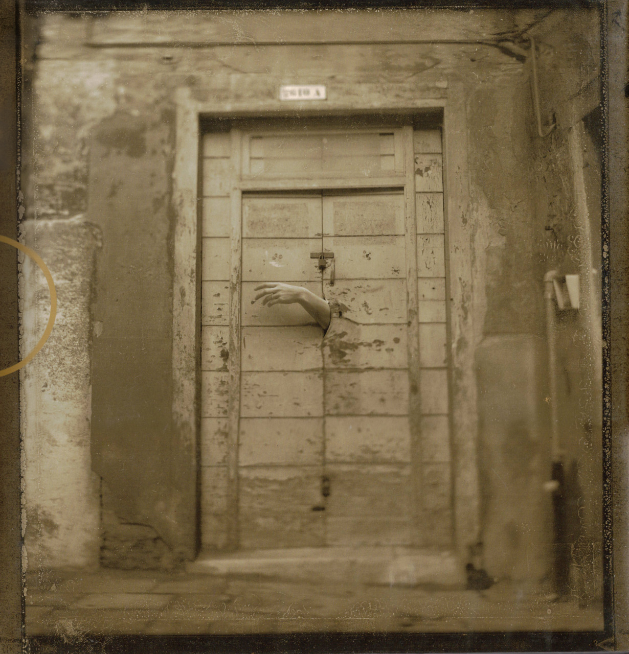 Option book cover