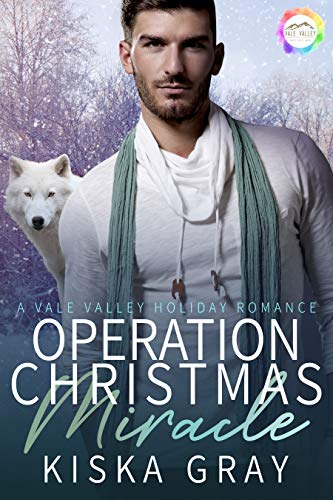 Vale Valley Season Four book cover 1