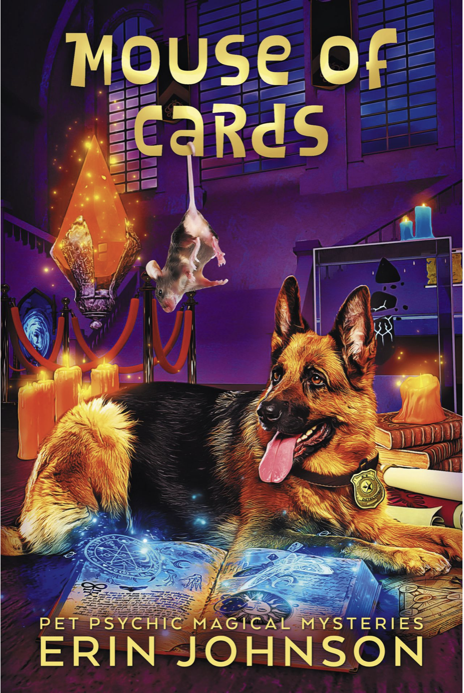 Magic Market Mysteries book cover 2