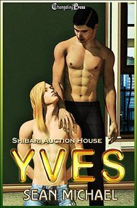 Yves book cover