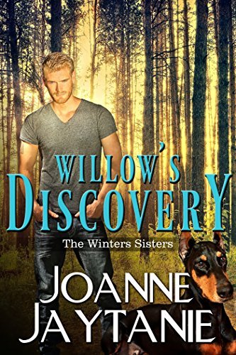 The Winters Sisters book cover 3