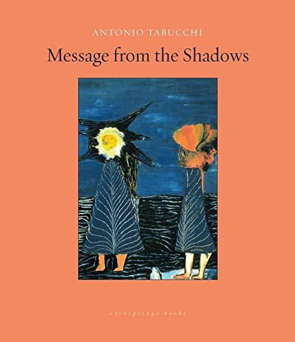 Message from the Shadows book cover