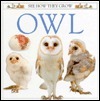 Owl book cover