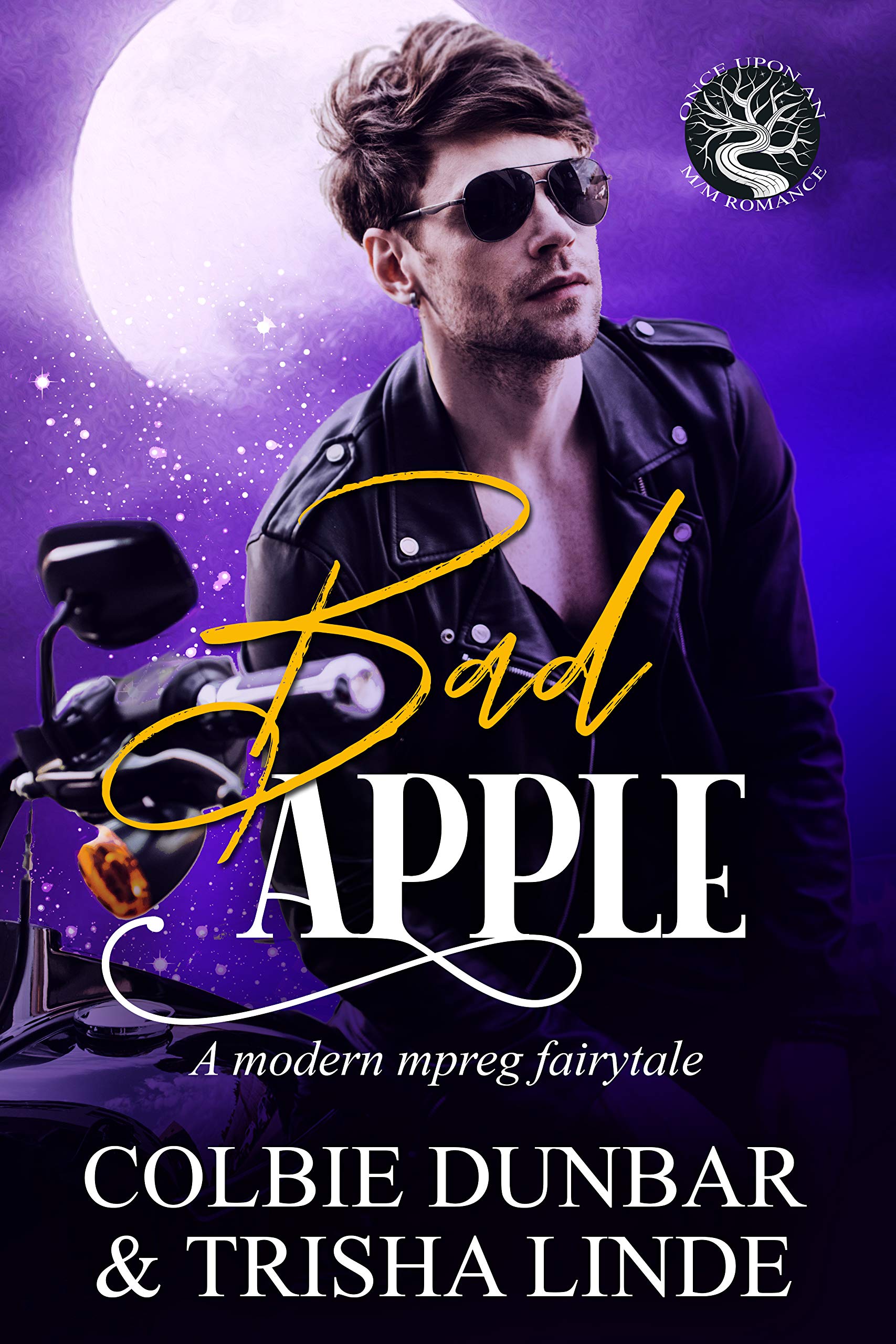 Once Upon an MM Romance book cover 1