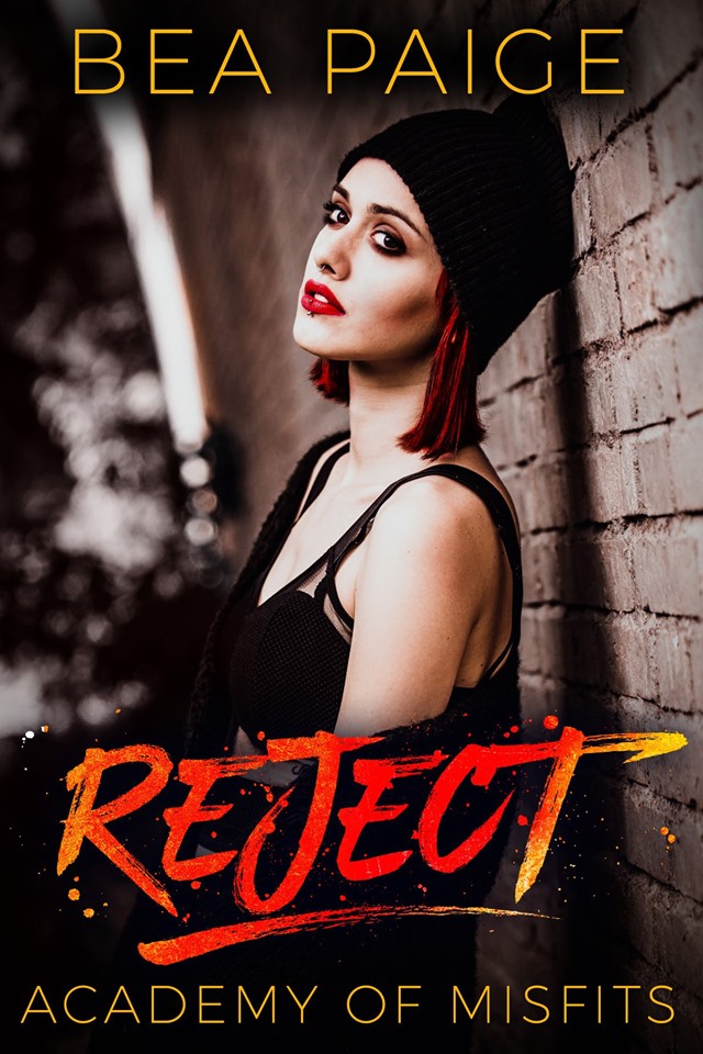 Academy of Misfits book cover 2