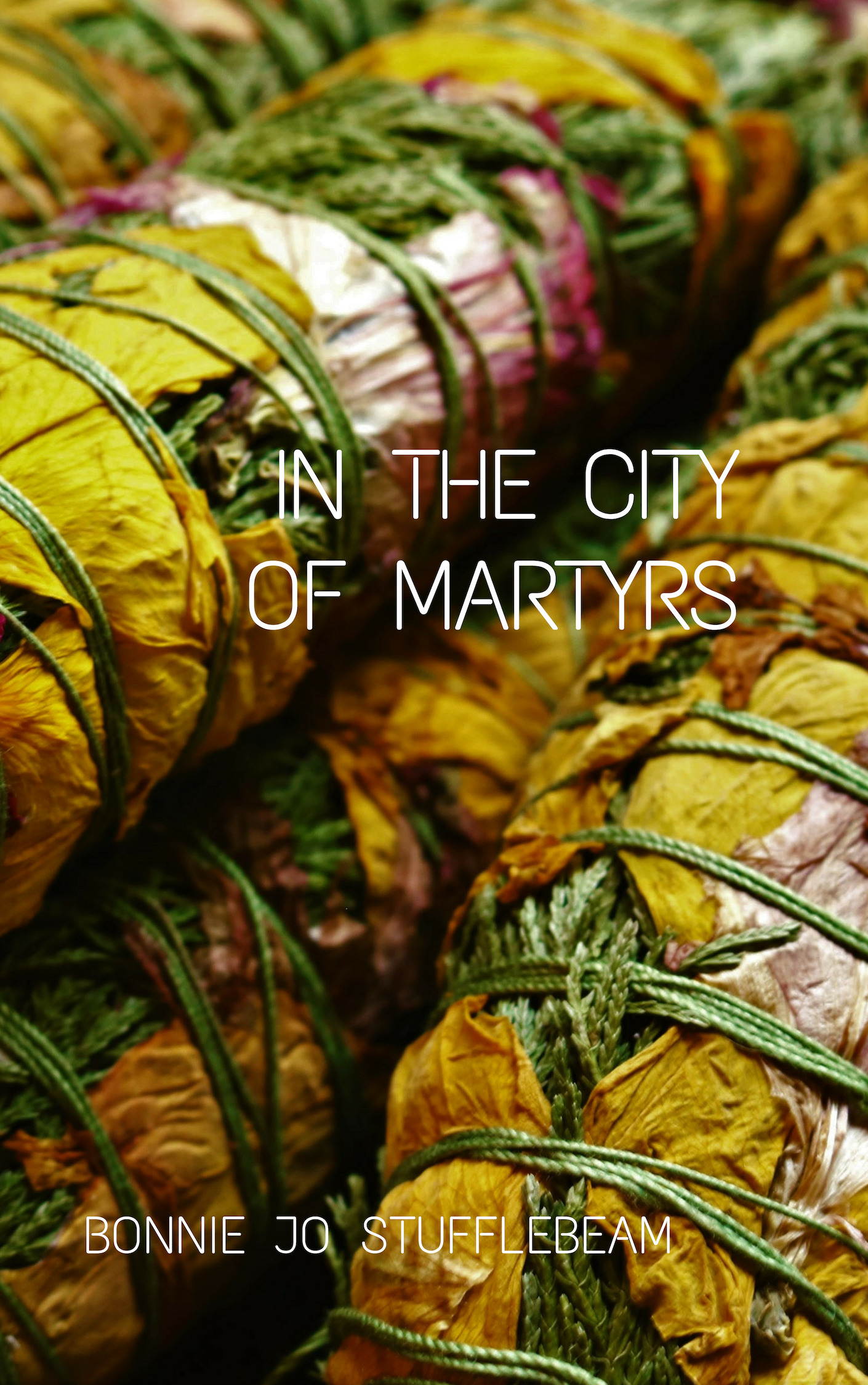 In The City of Martyrs book cover