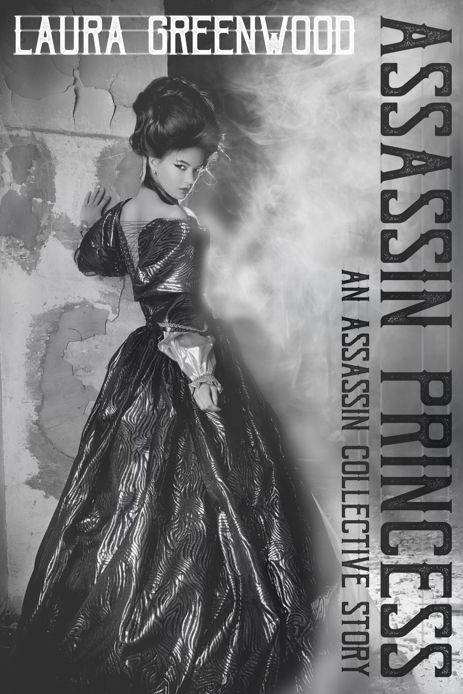 Assassin Princess book cover