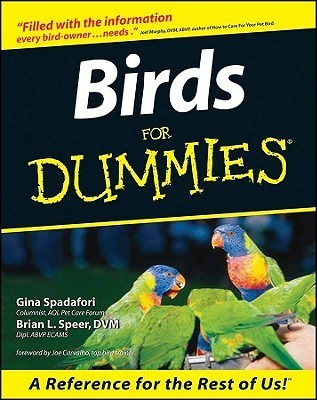 Birds For Dummies book cover