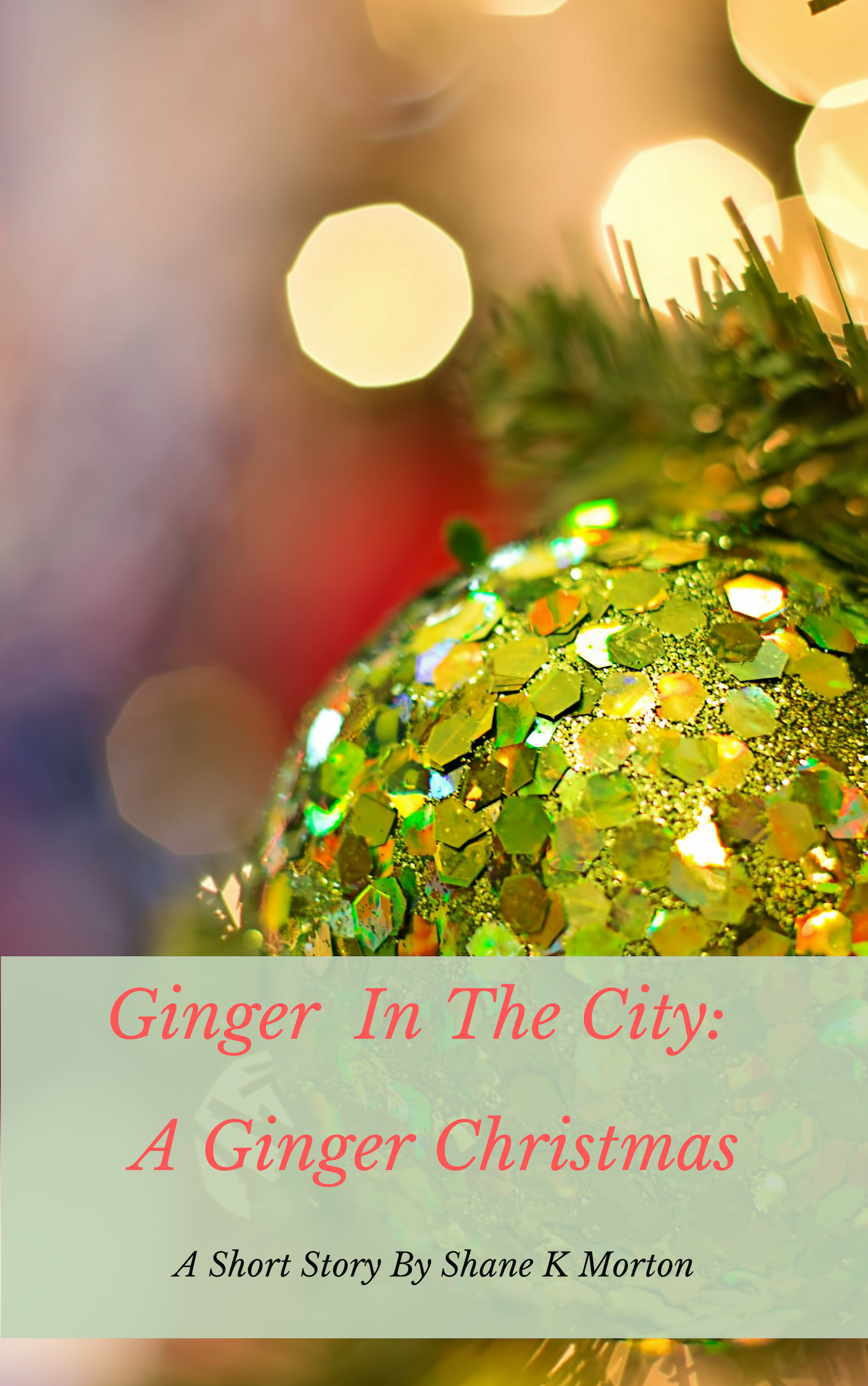 Ginger In The City book cover