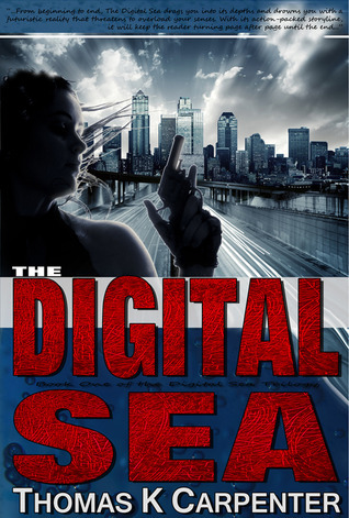 The Digital Sea book cover