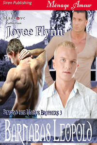 Beyond the Marius Brothers book cover 3