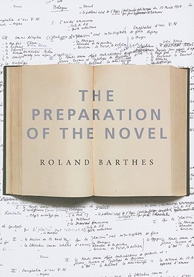 The Preparation of the Novel book cover
