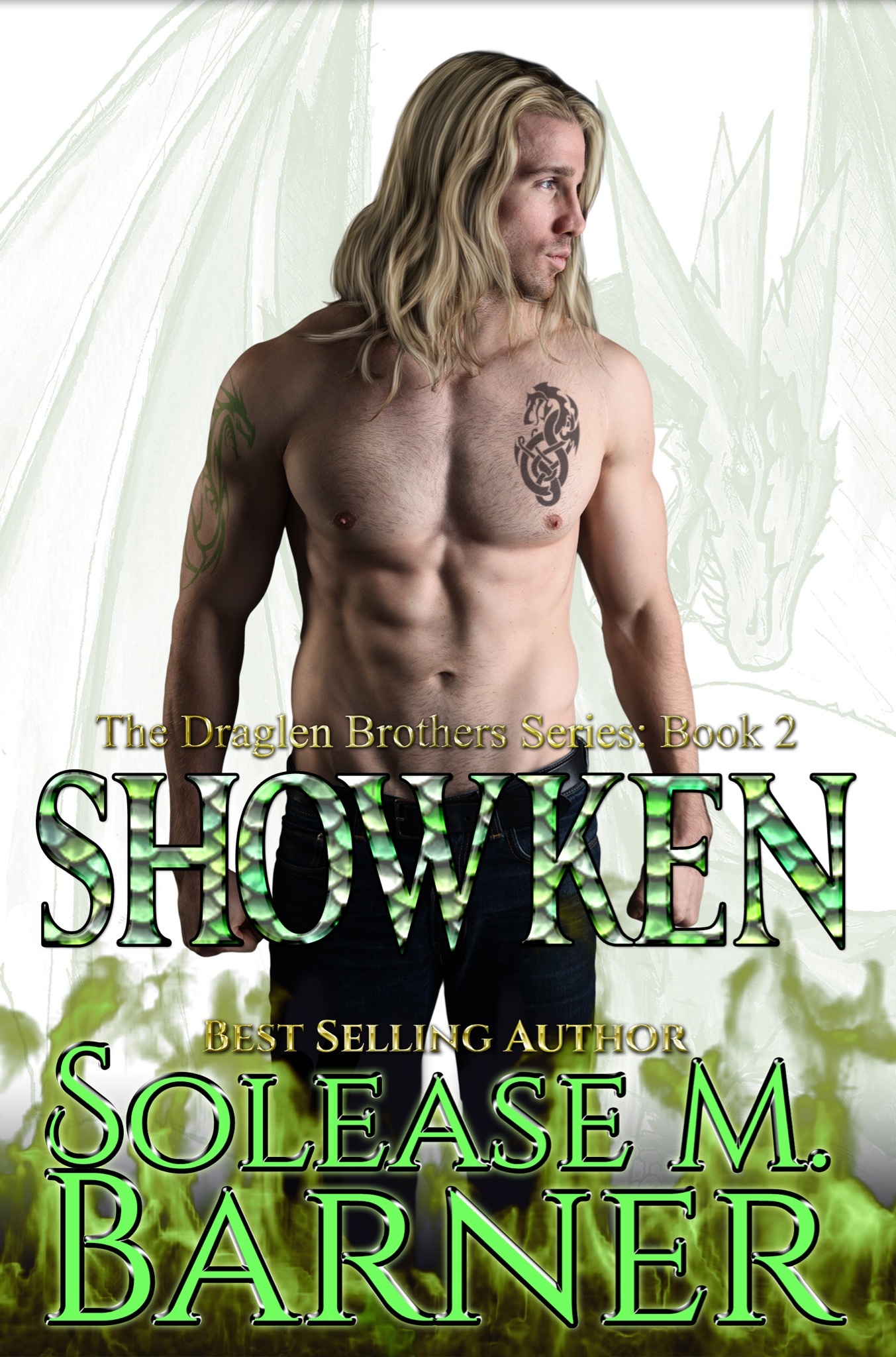 The Draglen Brothers book cover 2