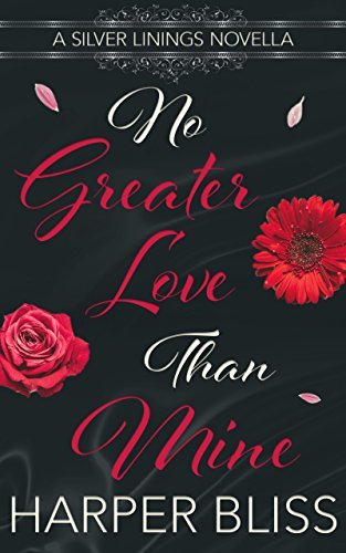 Silver Linings book cover 1