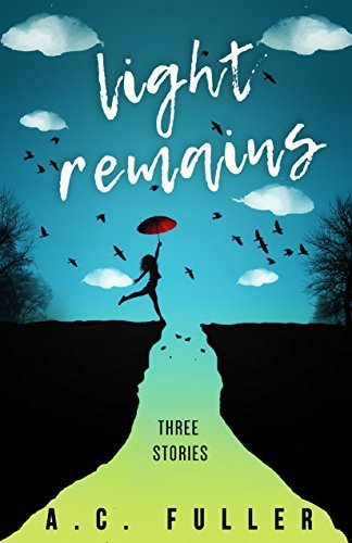 Light Remains book cover