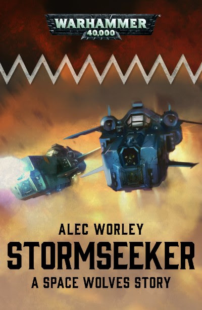Stormseeker book cover