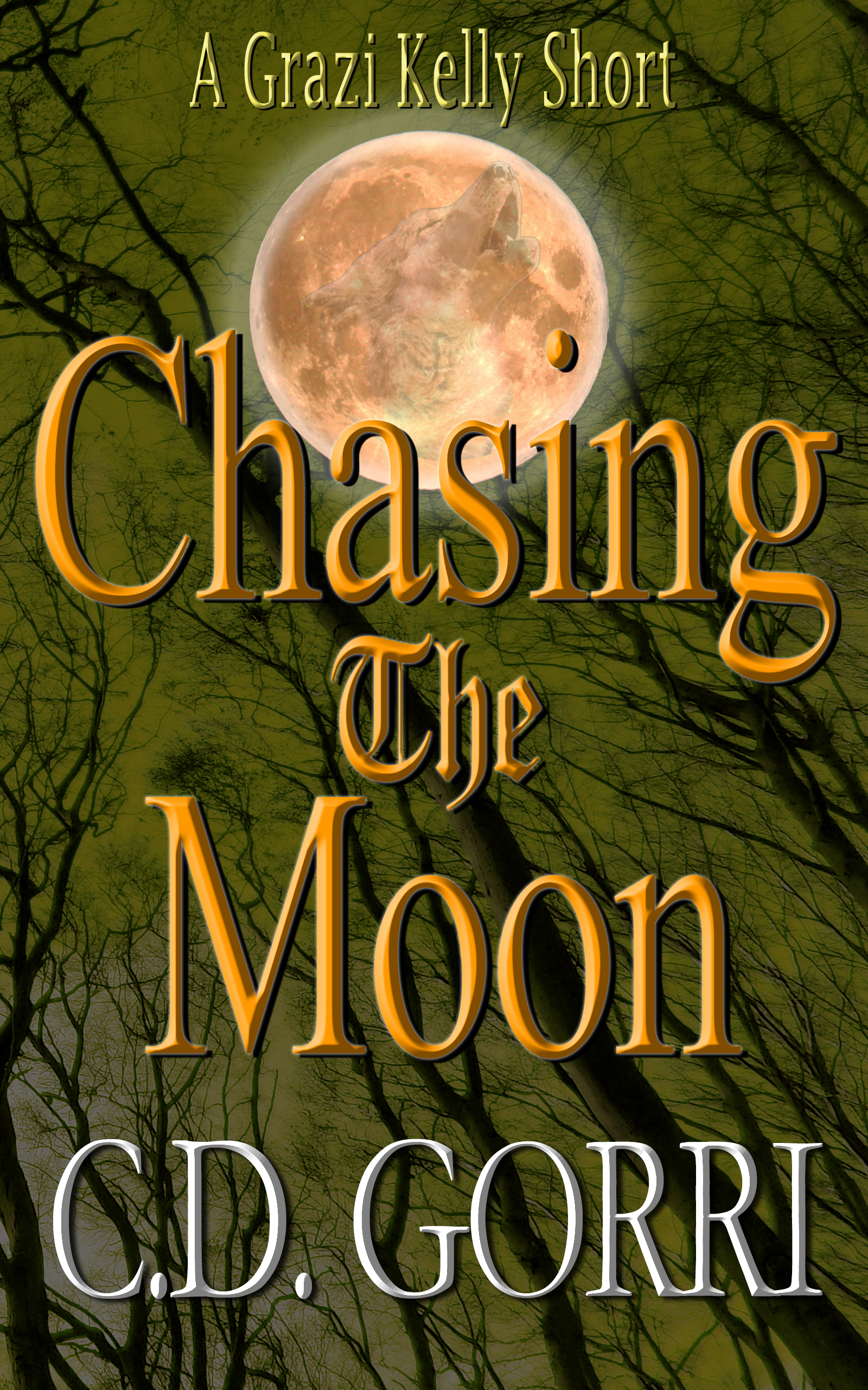 Chasing the Moon book cover