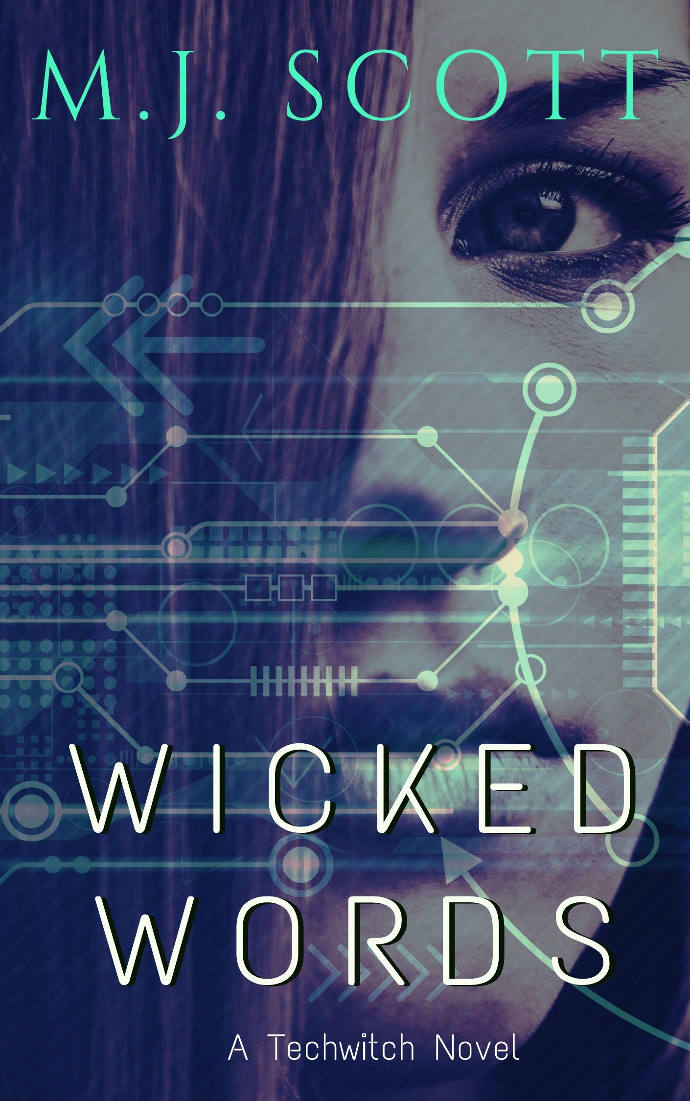 Wicked Words book cover