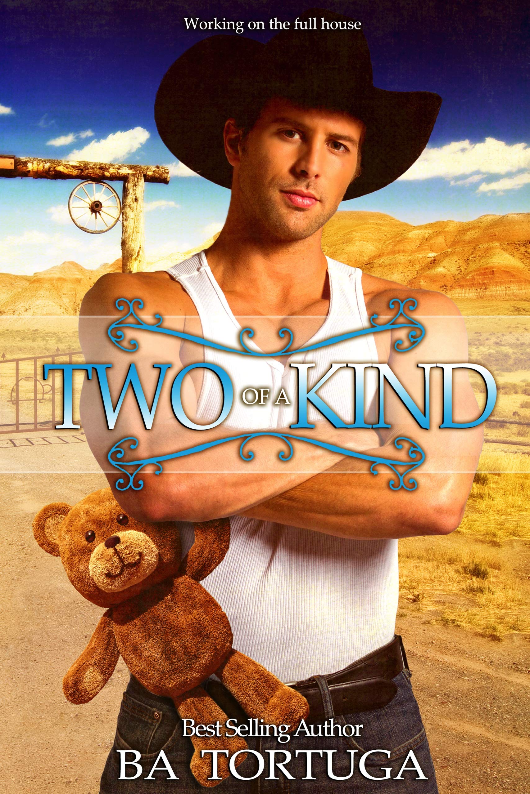 Two of a Kind book cover