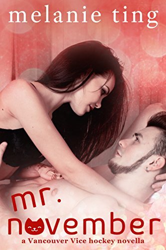 Mr. November book cover