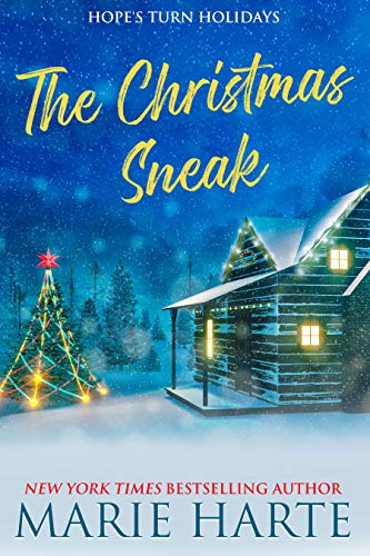 Hope's Turn Holidays book cover 2