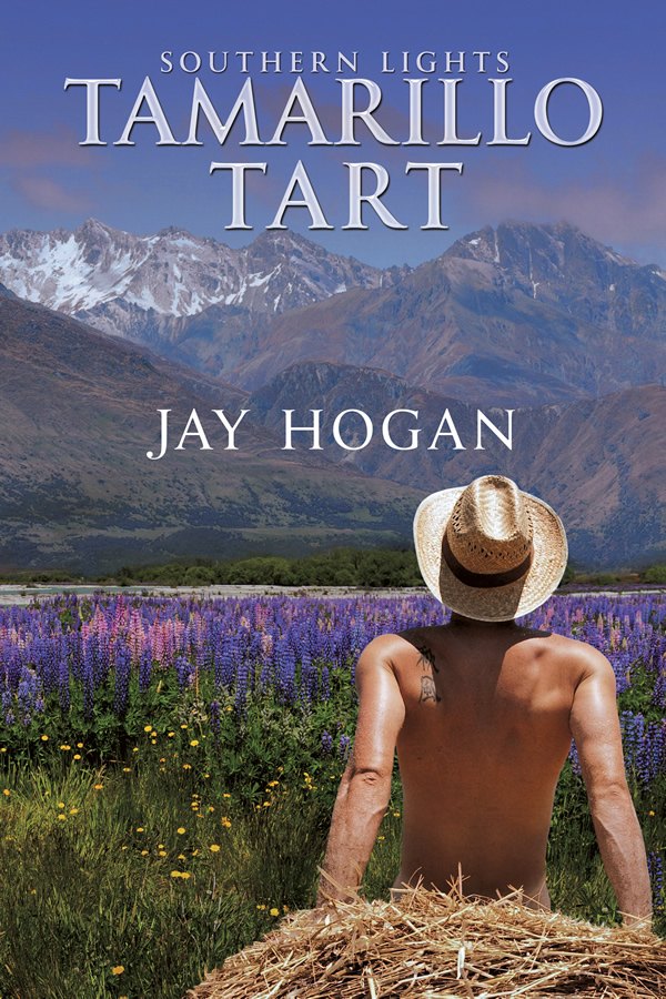 Southern Lights book cover 2
