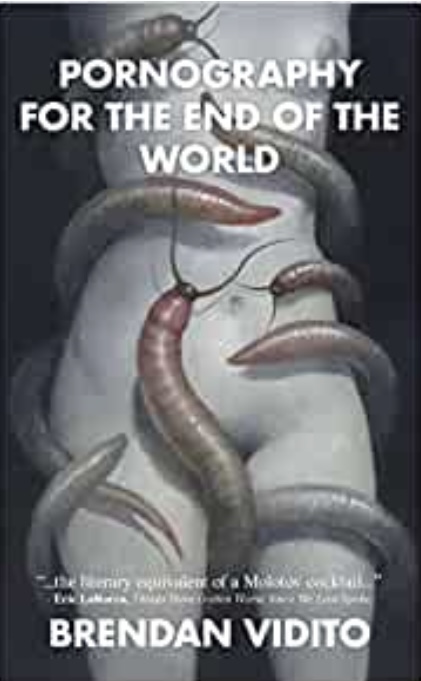 Pornography for the End of the World book cover