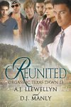 Reunited book cover