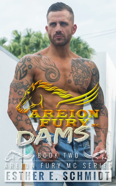 Areion Fury MC book cover 2